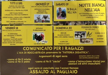 Festa nell'aia